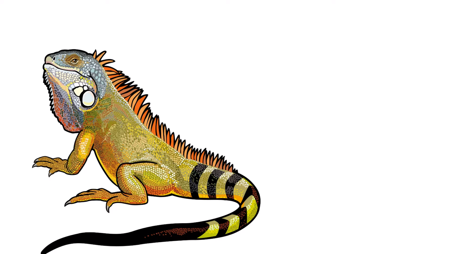 What Is Texture in Art? DrawingProfy